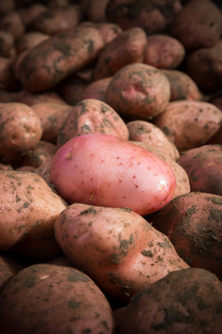 Knowing the origin of every potato sold