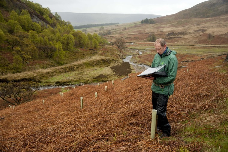 Carbon guarantee aims to boost tree planting
