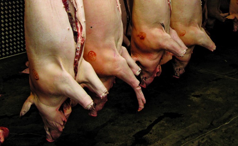 Kent abattoir goes bust