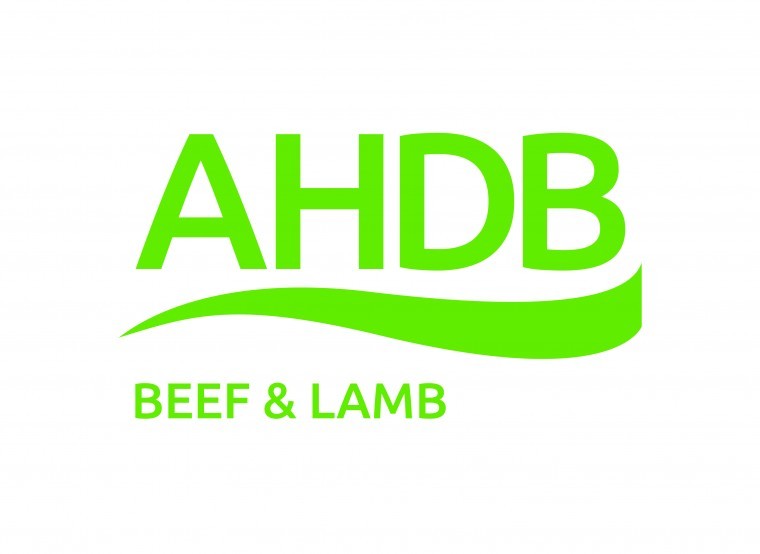 AHDB campaign will launch