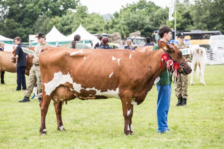 Coronavirus bites deep