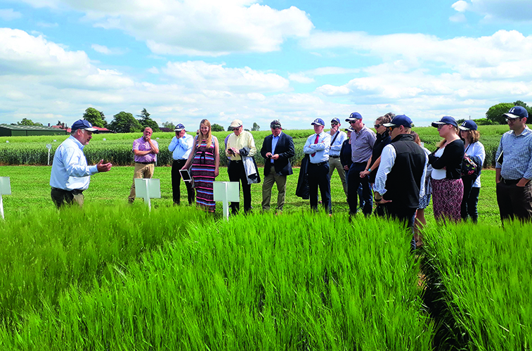 Stepping up British food production innovation