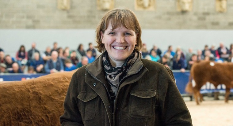 Limousin increases number of genetic evaluations