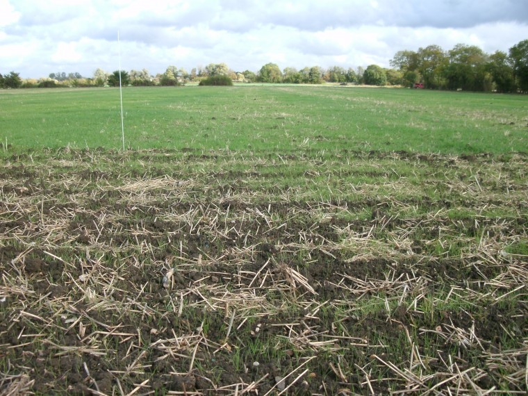 Less is more for autumn cultivations