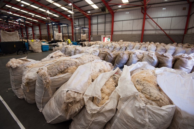 British Wool open for wool receipts as usual