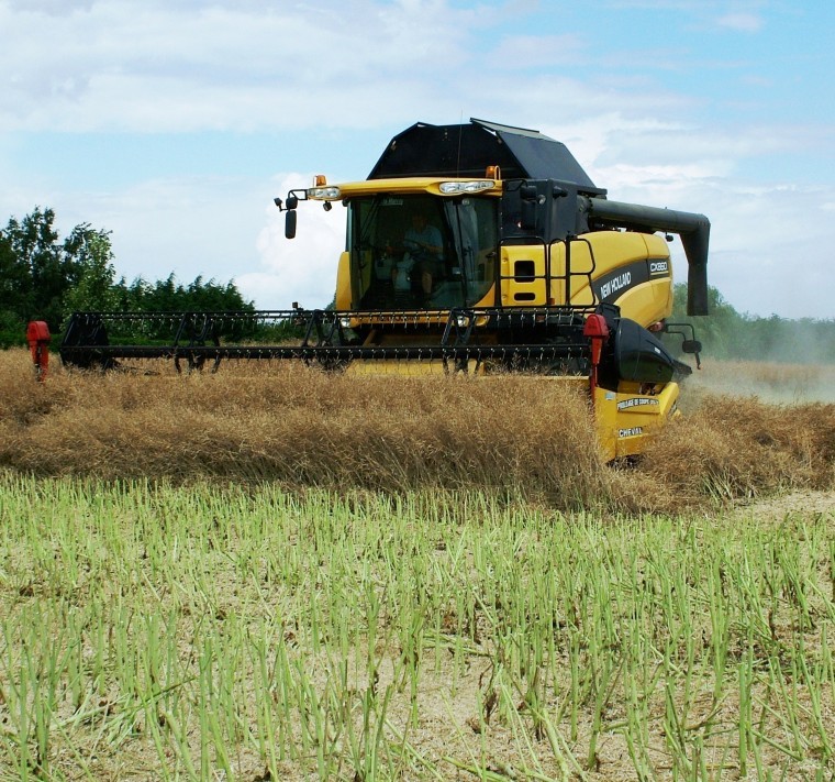 Achieving the most appropriate and effective desiccation in OSR