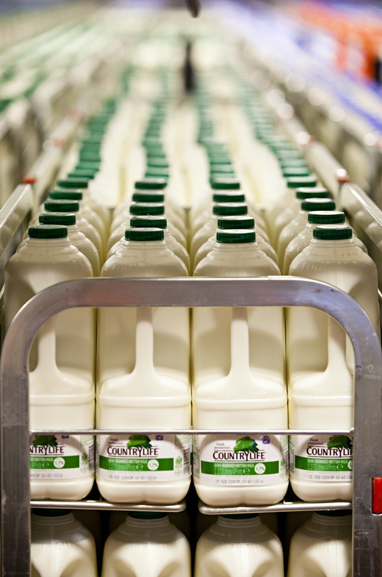 Dairy business sold to Muller
