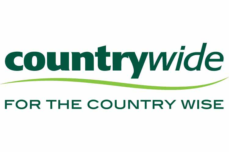 Countrywide Farmers to focus on its multichannel Retail, Turf and Amenity and LPG businesses