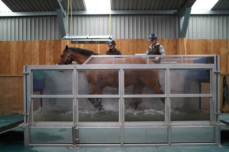 Hydrotherapy for horses