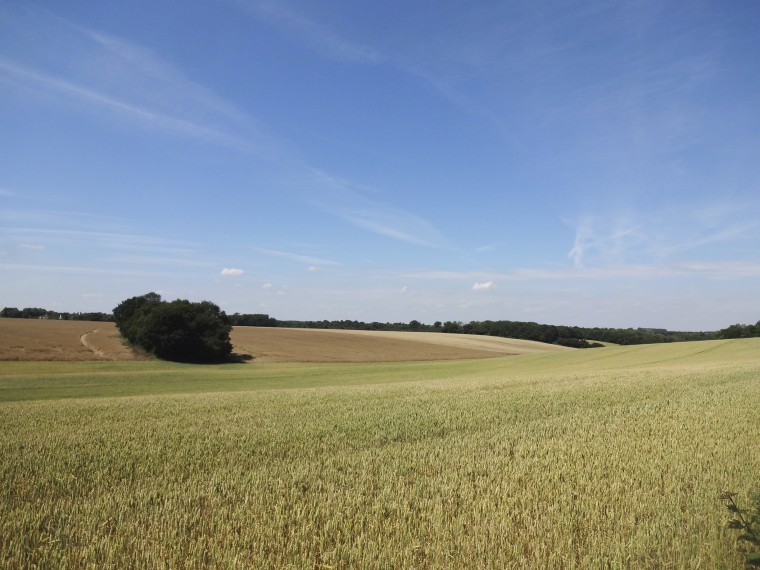 High quality farmland