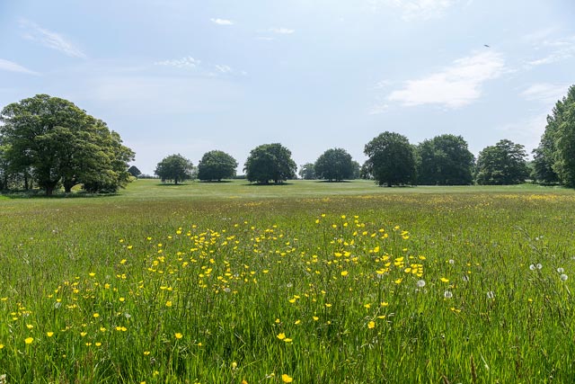 41st LEAF demonstration farm