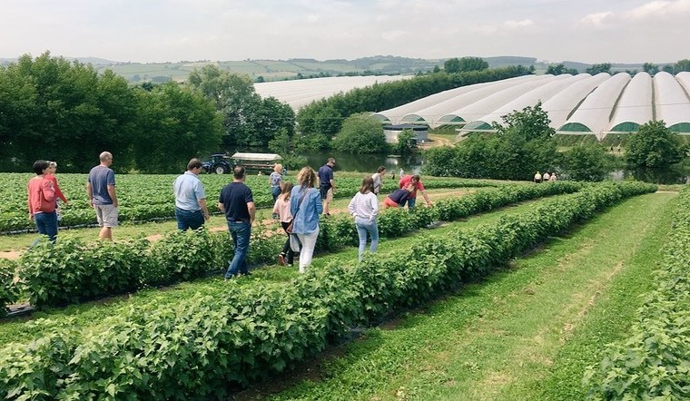 LEAF Open Farm Sunday announces plans for 2021