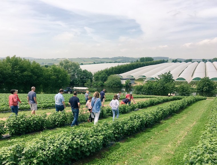 LEAF Open Farm Sunday to move to last weekend in June