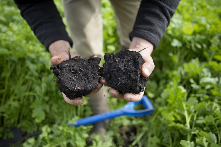 Time for growers to take a closer look at their soils
