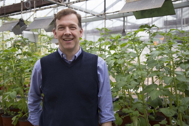 Fresh produce in a time of Covid-19