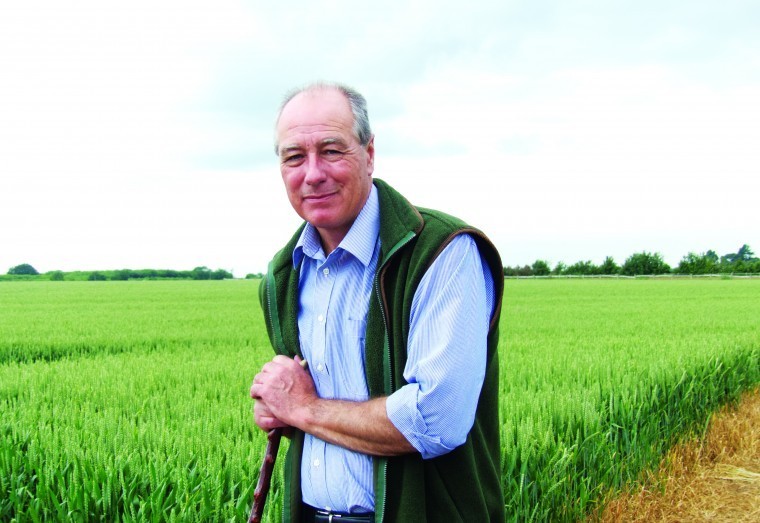 Early crops look like cabbage fields