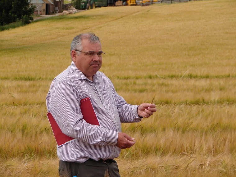 Non GN barley varieties are the way forward to meet ever increasing distilling demand