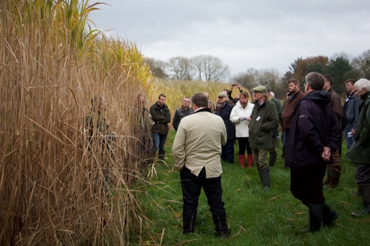 Miscanthus crop planted on difficult land showcased on Berkshire farm walk