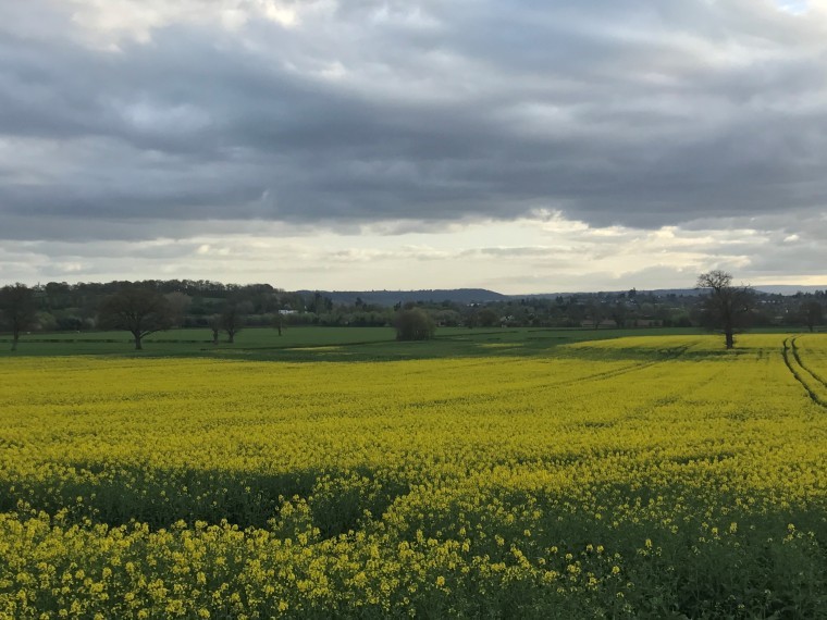 Failed OSR will not affect spring N limits