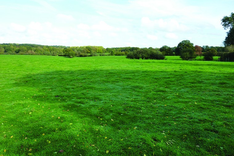 Fields and a water meadow