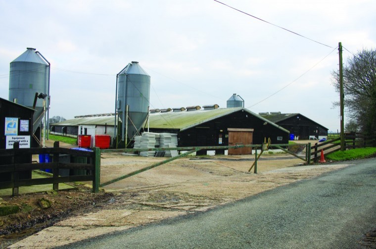 Another Kent poultry farm