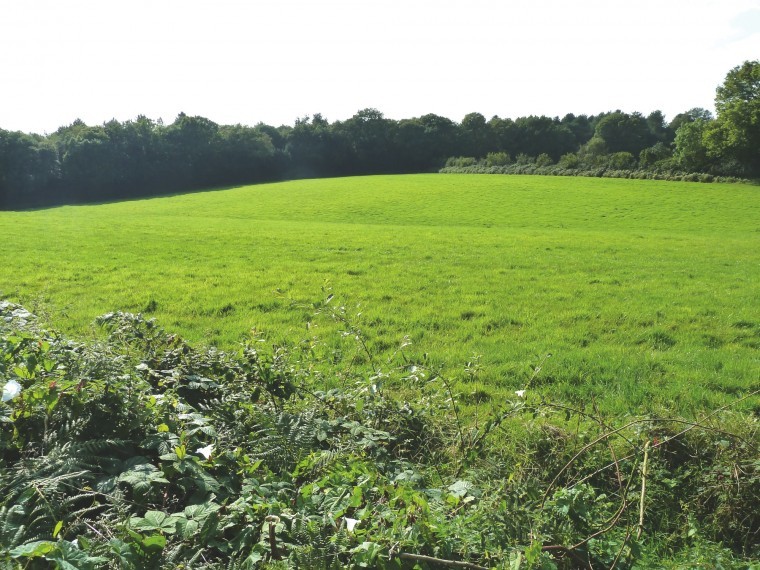 Useful area of grassland