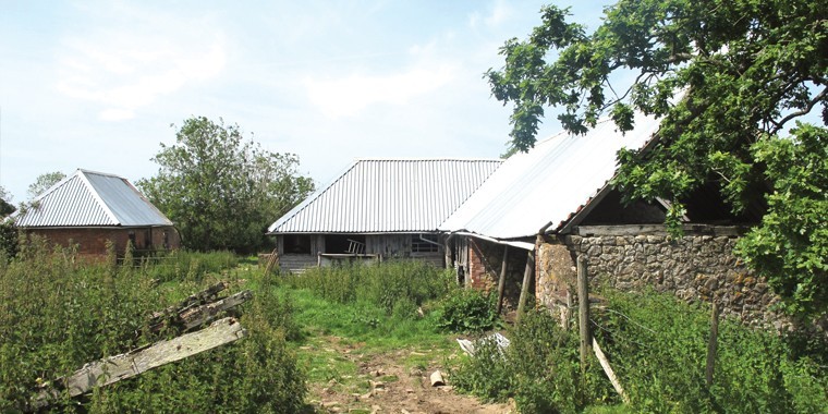 Arable and pasture land