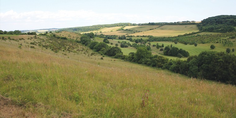 Big ring-fenced block