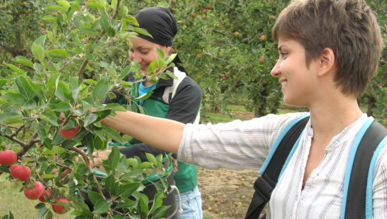 UK will need a new land army to feed the nation