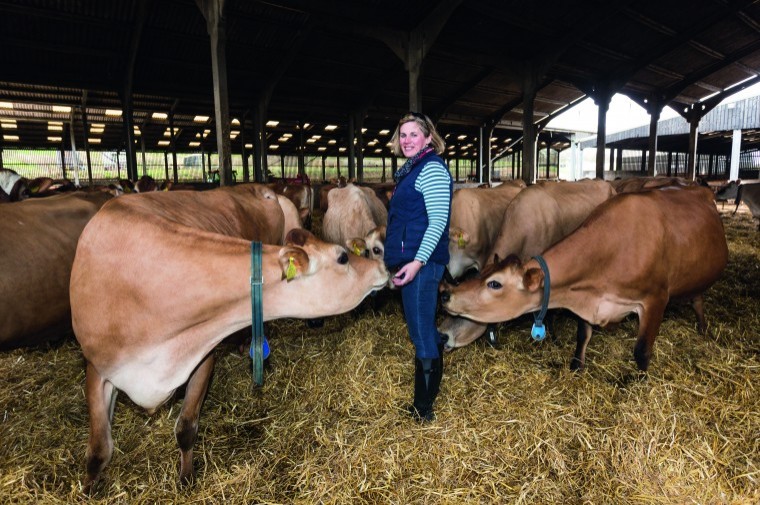 Exceptional haymaking year