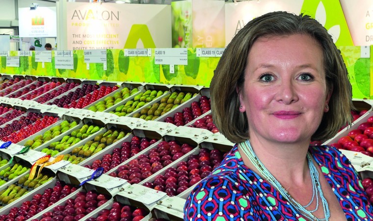 Vintage year for Fruit Logistica