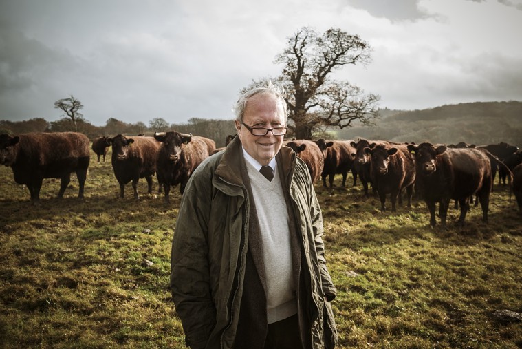 Farmers launch new club to protect and promote ‘purebred’ Sussex cattle