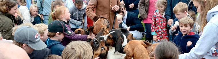 Heathfield Show cancellation