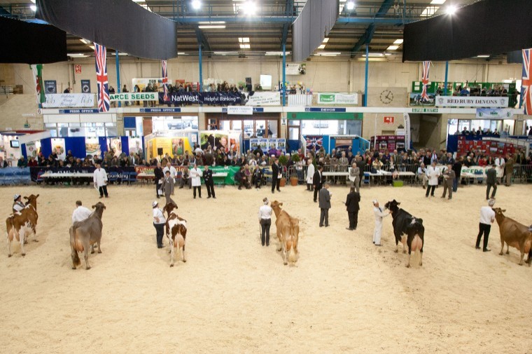 Future proofing businesses at the Dairy Show