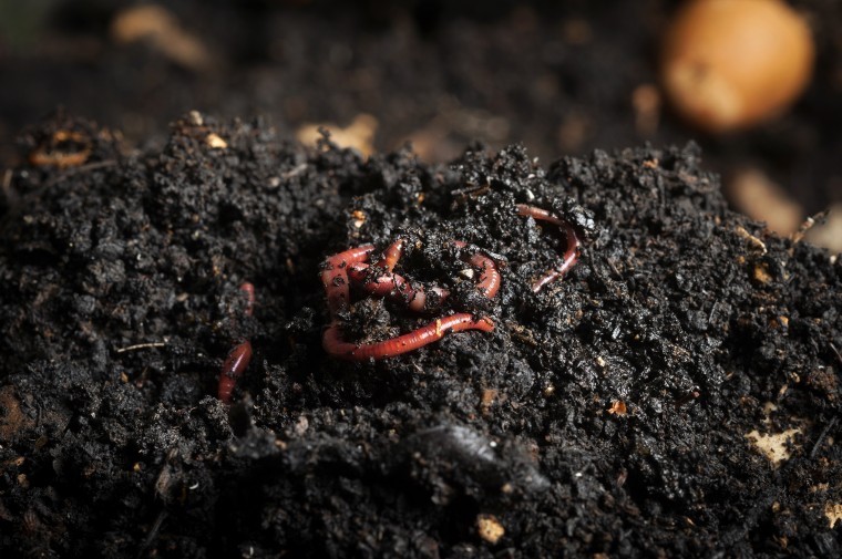 Research proves value of compost and digestate