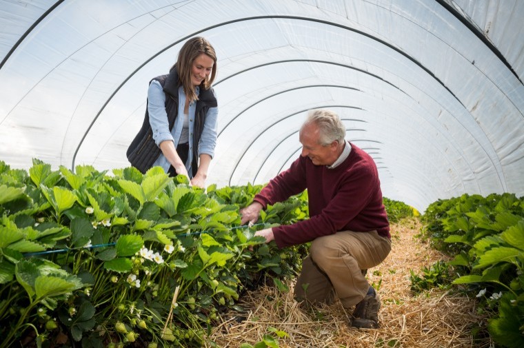 Family tree bears fruit with fifth generation farmer