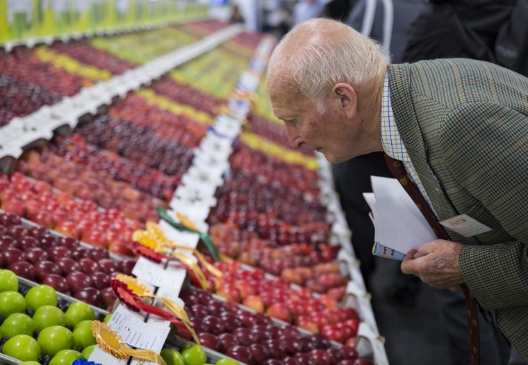 National Fruit Show review