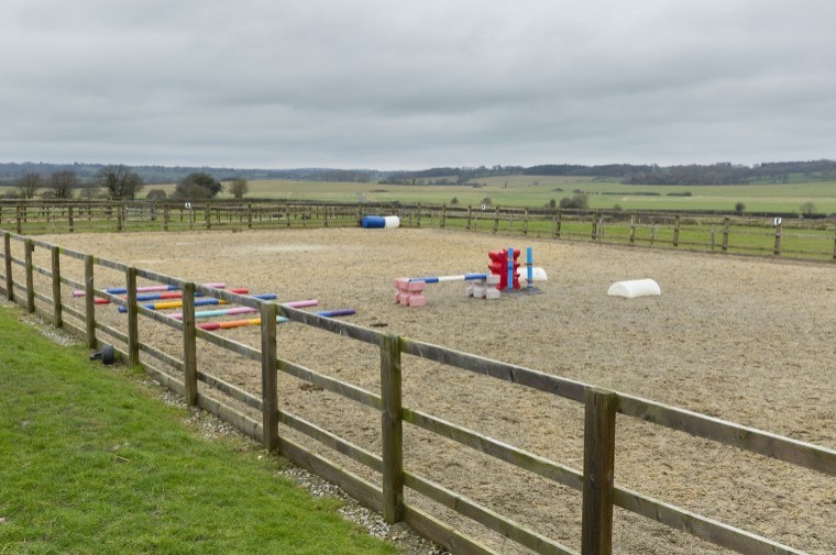 Jumping into equestrian