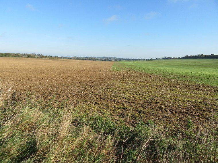 Mix of pasture, arable and woodland