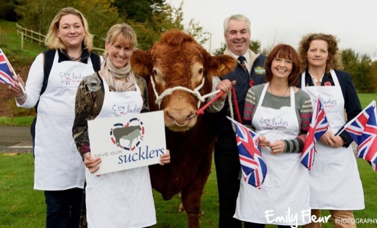 Ladies in Beef call for industry support to boost suckler beef breeding herds