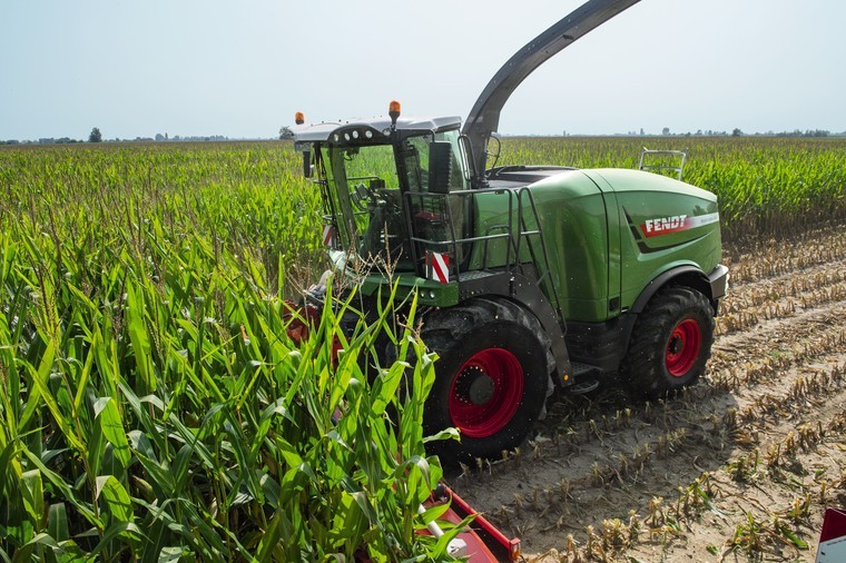 Reduce the risk of mycotoxins in maize silage this season