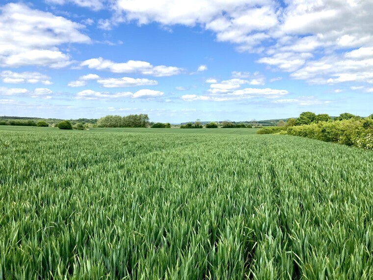 Kent arable land with natural capital potential