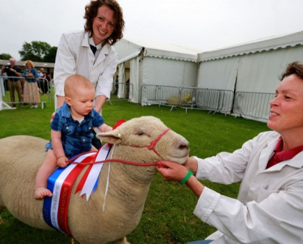 Great British summer shines on show
