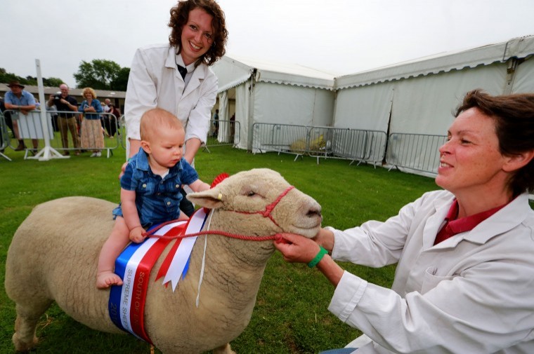 Great British summer shines on show