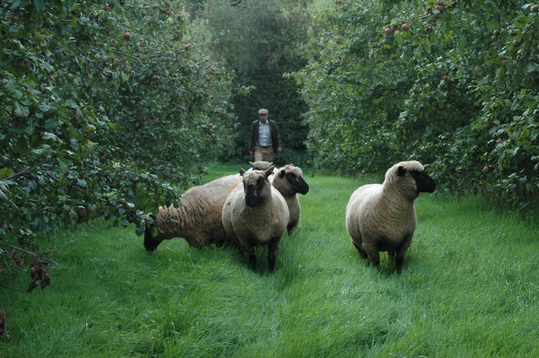 New conference highlights how agroforestry can boost productivity