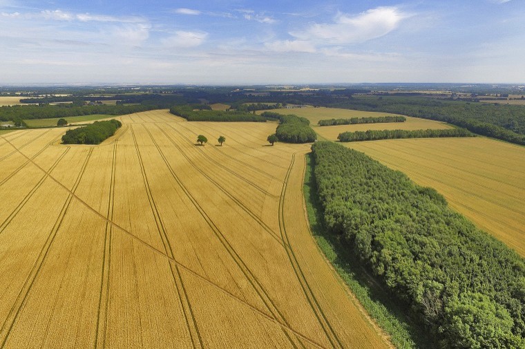 Substantial commercial arable farm