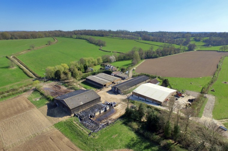 Livestock farm in idyllic location