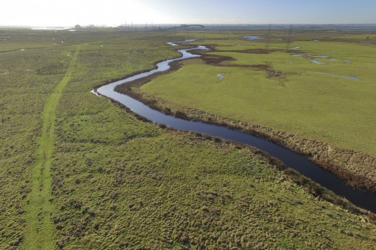 Extensive block of marshland