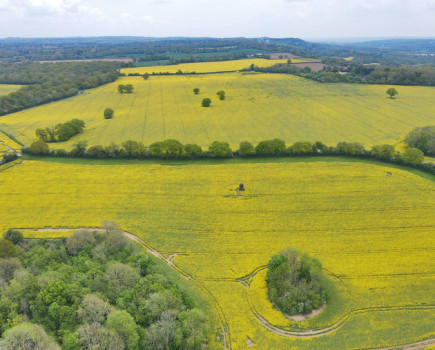 Rare opportunity to rent 320-acre Surrey farm