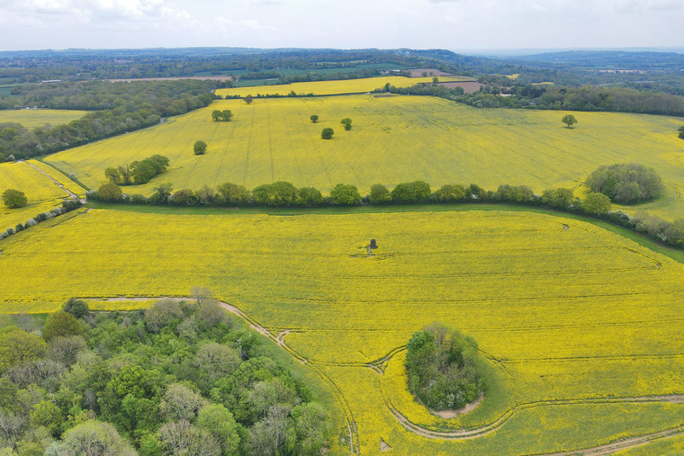 Rare opportunity to rent 320-acre Surrey farm